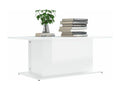 Coffee table, glossy white, 102x55.5x40 cm, NLRL45569