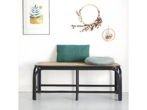 Rattan and cane bench
